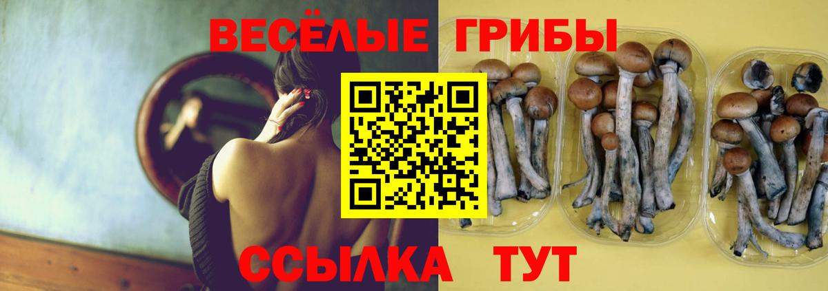 Псилоцибиновые грибы прущие грибы Сунжа